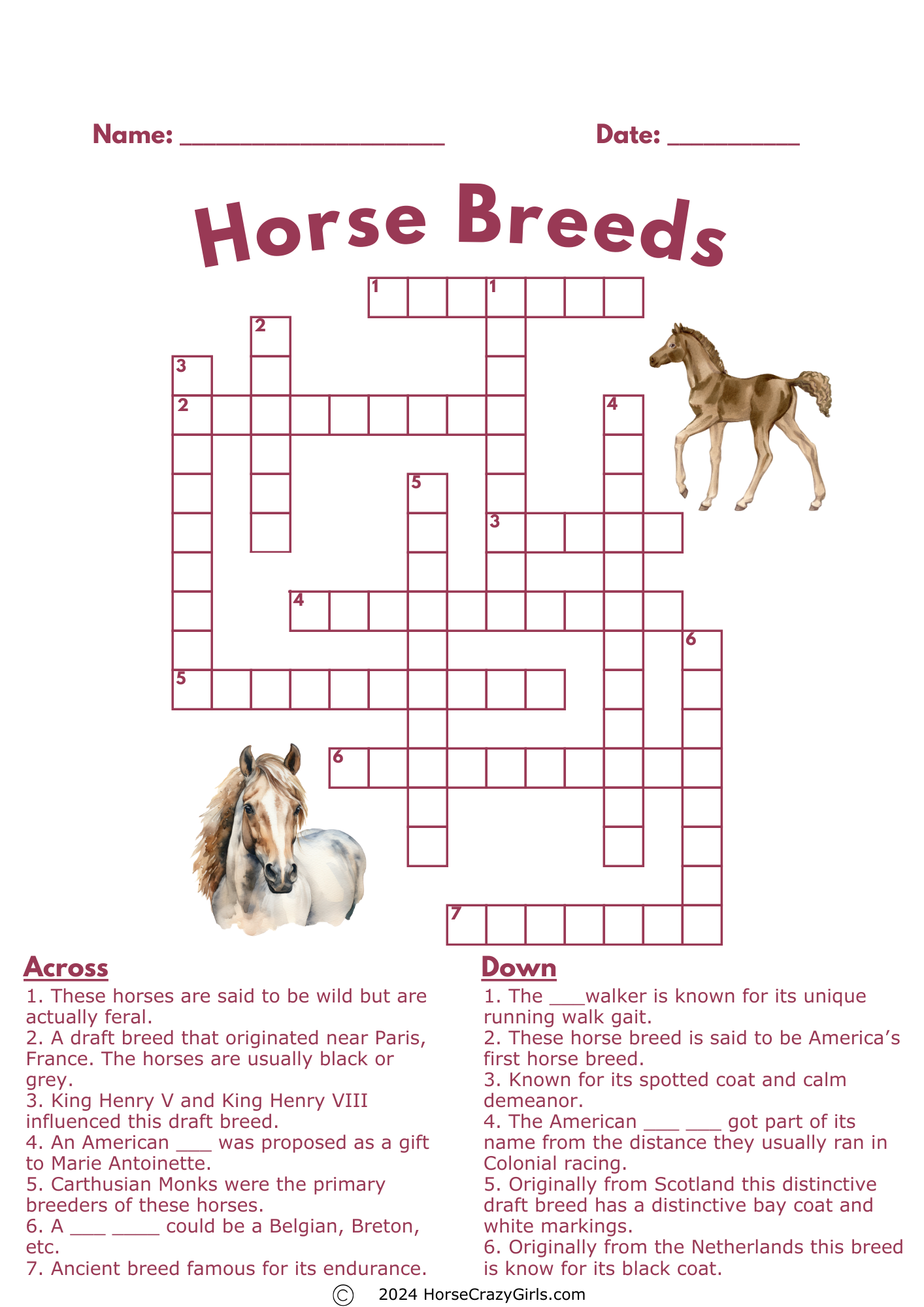 A worksheet featuring a horse breeds crossword.