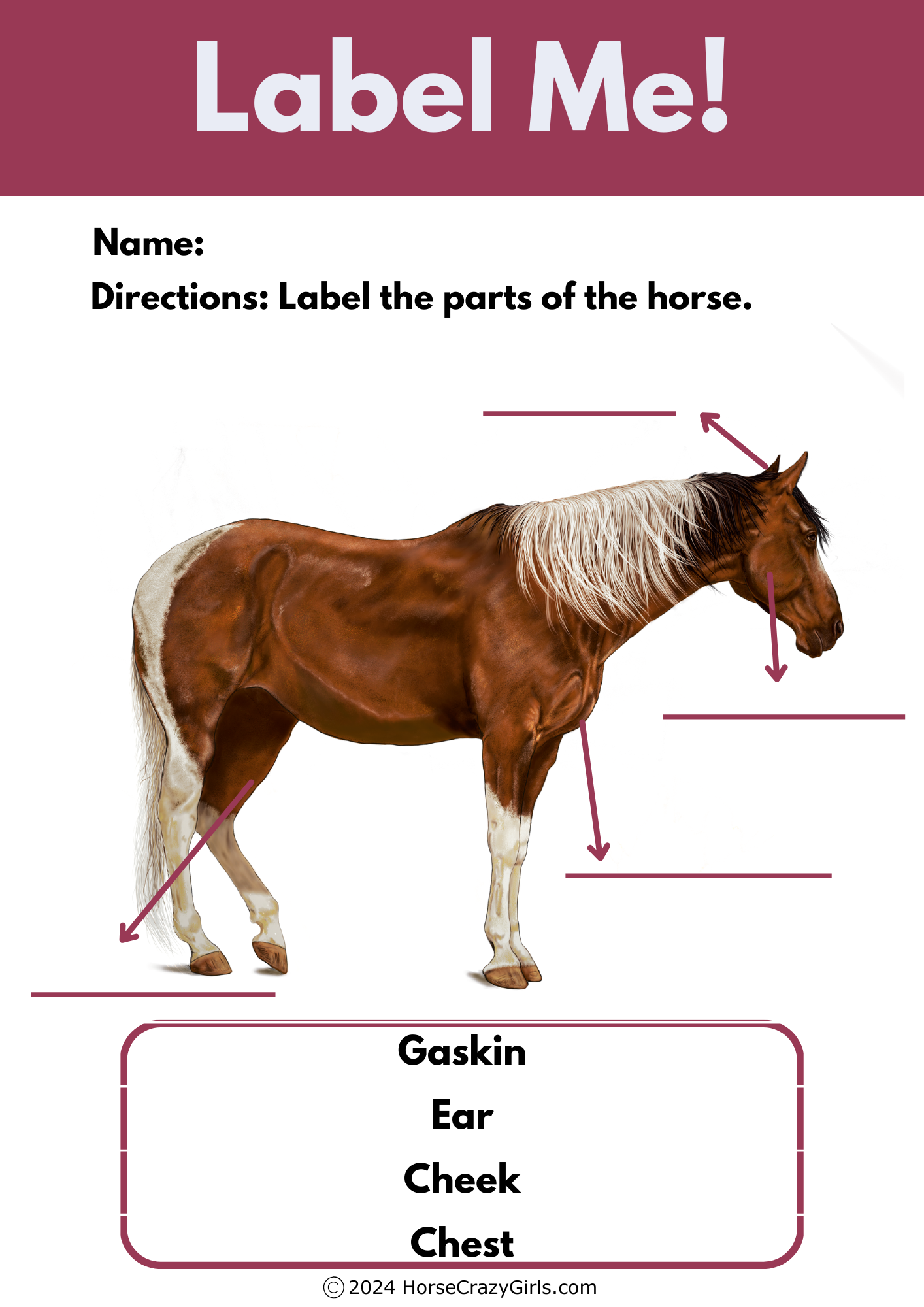 A label me worksheet featuring different parts of the horse.