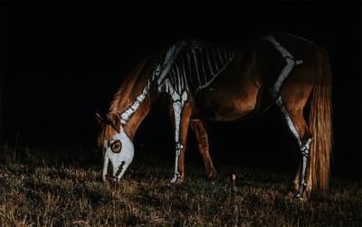 Grazing Skeleton