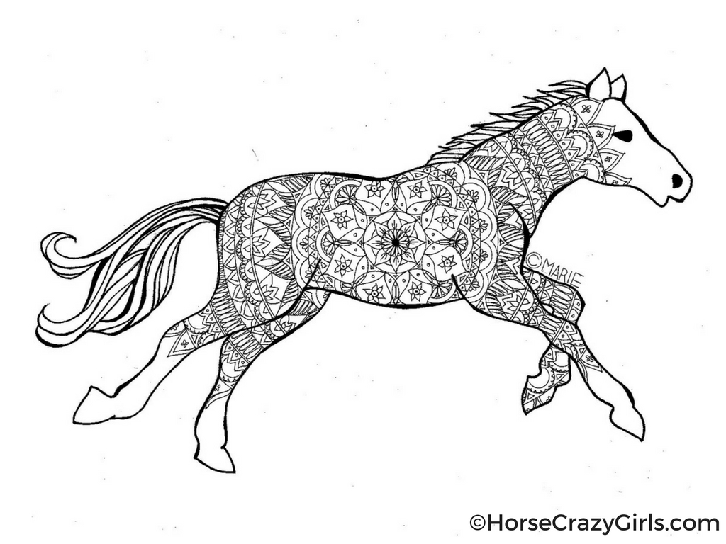 Free Printable Coloring Pages Of Horses 2