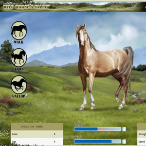 Awesome Online Horse Games