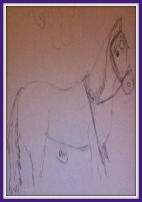 Pretty Horse Drawing