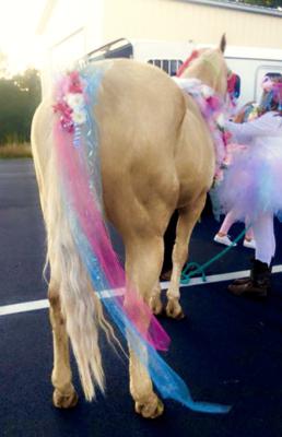 Horse dressed up as a clearance unicorn