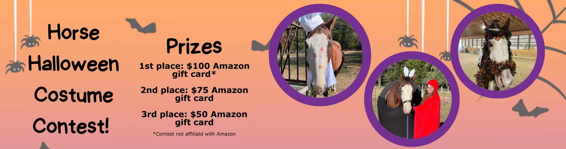 Banner for horse halloween costume contest 2024 clickable