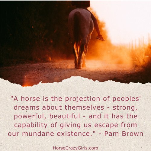 An image of a a girl riding her horse at sunset with the quote "A horse is the projection of peoples' dreams about themselves-strong, powerful, beautiful... ~Pam Brown