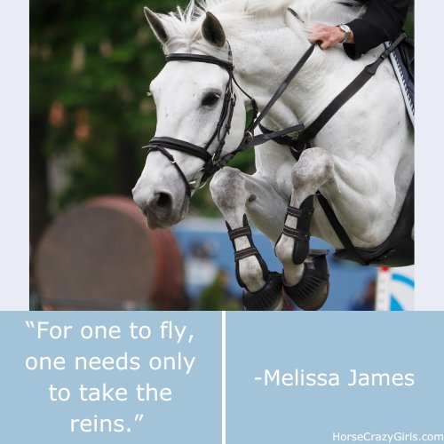 A white horse jumping with the quote “For one to fly, one needs only to take the reins.” ~Melissa James