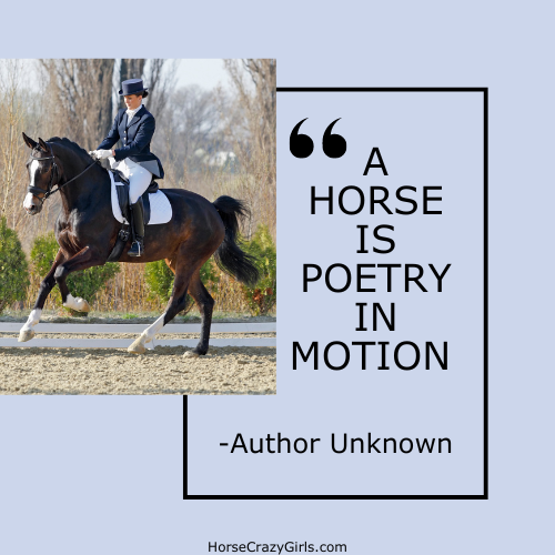 A picture of a dressage rider with the quote "A horse is poetry in motion." ~Author Unknown