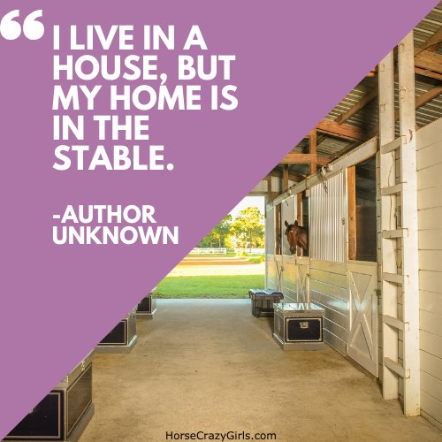 A picture of a stable with the quote "I live in a house, but my home is in the stable." -Author Unknown