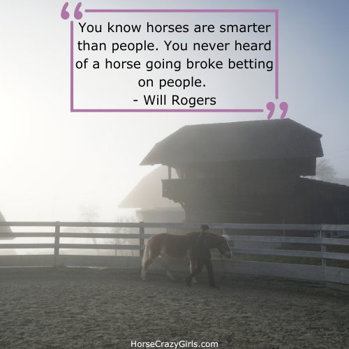 A picture of a girl working her horse in the fog with the quote "You know horses are smarter than people. You never heard of a horse going broke betting on people." -Will Rogers