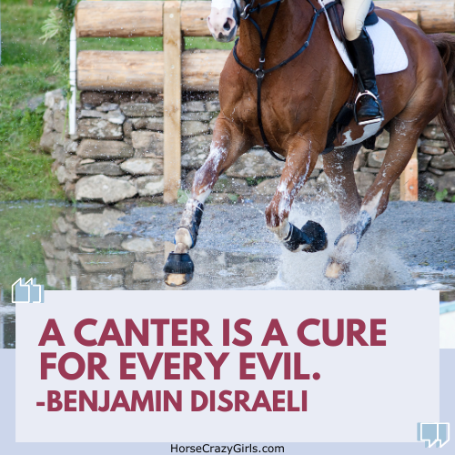 A horse cantering through water with the quote "A canter is a cure for every evil." ~Benjamin Disraeli