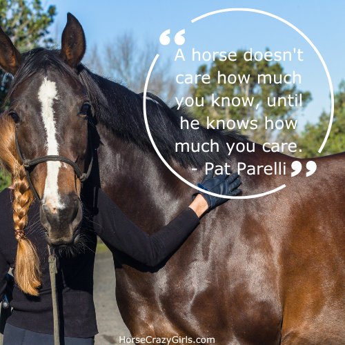 A horse standing at the camera and a woman petting the horse facing away with the quote "A horse doesn't care how much you know, until he knows how much you care." - Pat Parelli