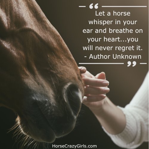 A person petting a horses nose with the quote "Let a horse whisper in your ear and breathe on your heart...you will never regret it." ~Author Unknown