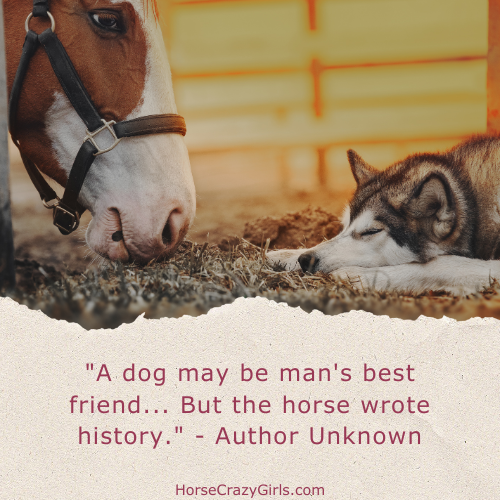 An image of a dog and a horse with the quote "A dog may be man's best friend... But the horse wrote history." ~Author Unknown