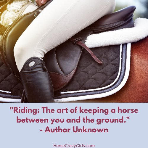 A person riding a horse with the quote "Riding: The art of keeping a horse between you and the ground." ~Author Unknown