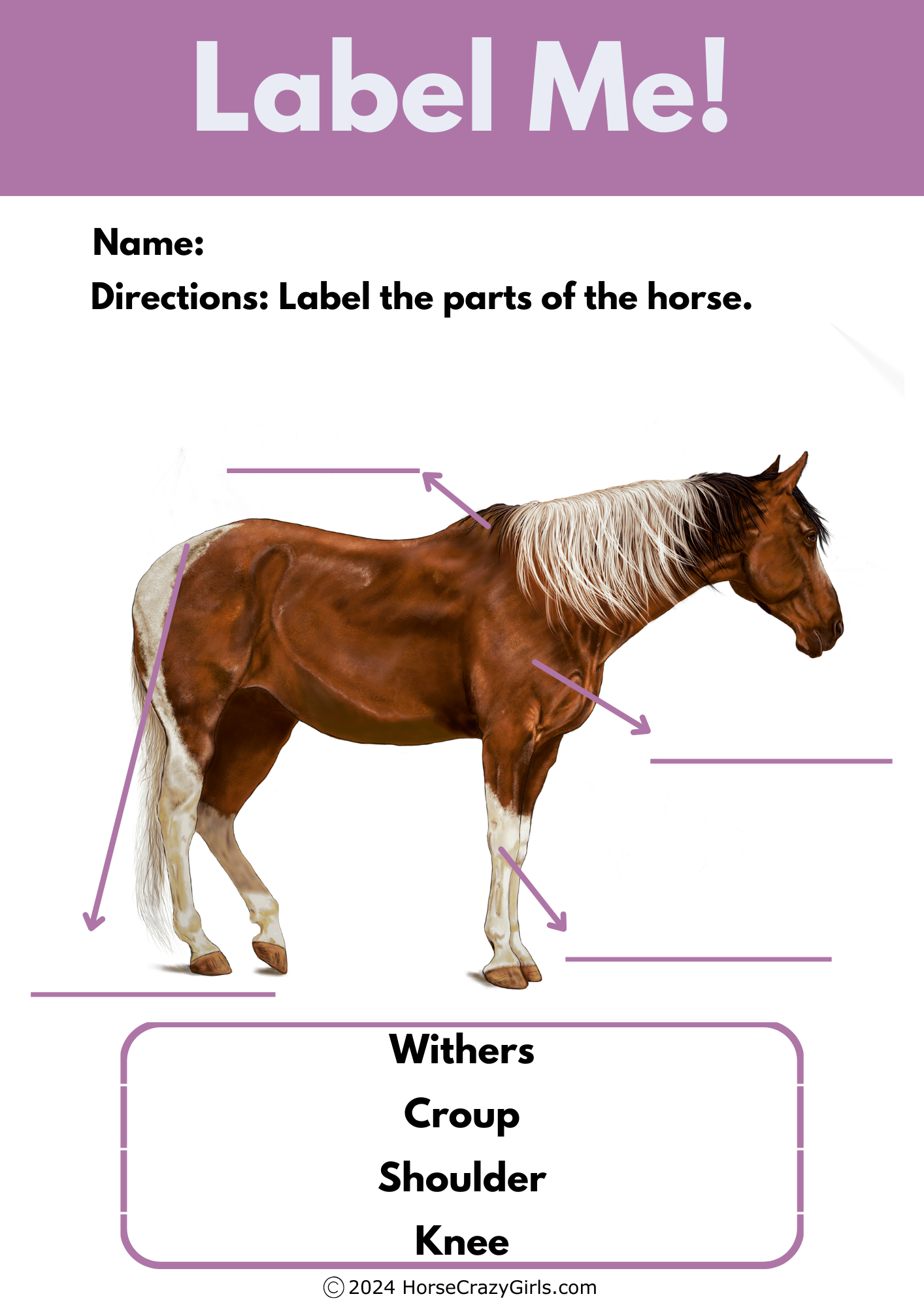 A label me worksheet featuring different parts of the horse.