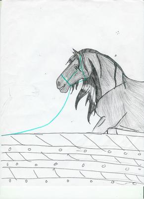 im horsebackrider22 on Deviantart