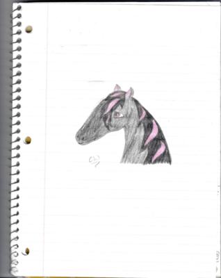 A drawing of a horse head. The horse is black and has pink streaks in its mane.