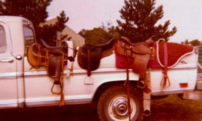 1977 Saddle Collection