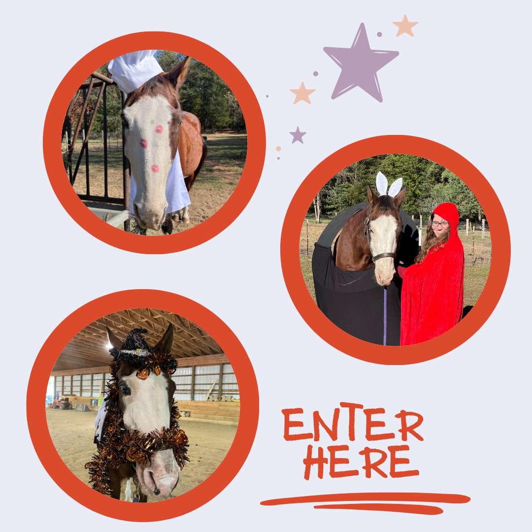 Photo of three horse halloween costumes and the words enter here clickable