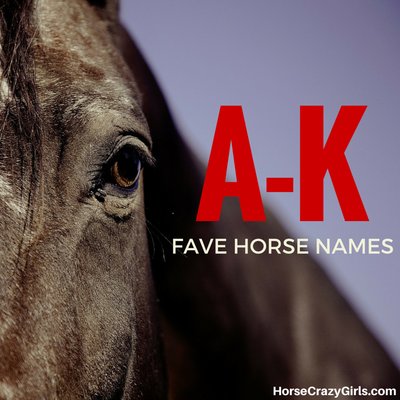 Fave Horse Names A K