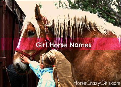 Girl Horse Names - what does sugarfoot do in roblox