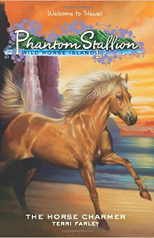 Phantom Stallion: Wild Horse Island by Terri Farley book cover