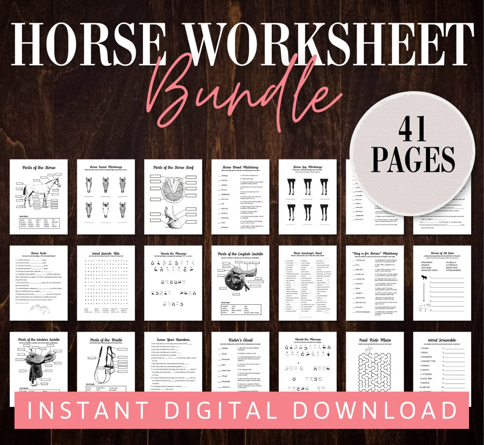 Screenshot of Horse Camp Worksheet Bundle