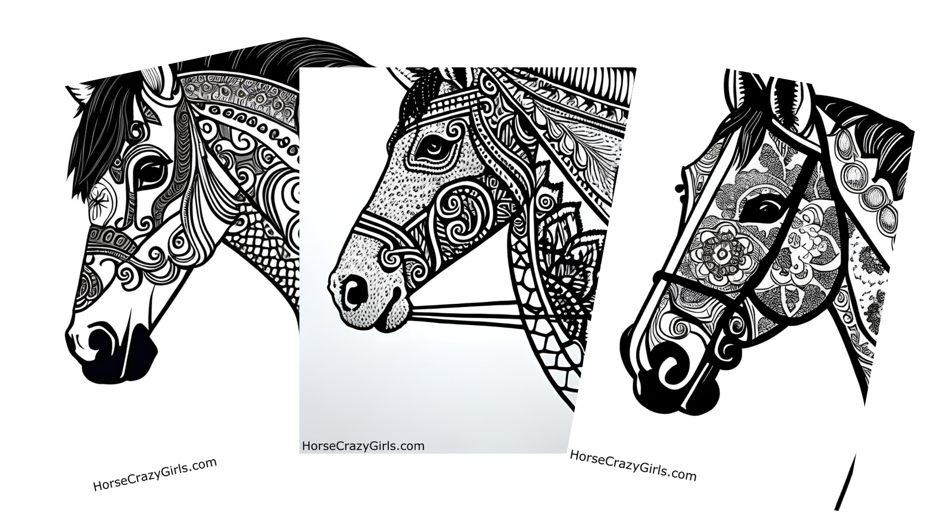 Hand drawn horse portraits - Horse portrait artist - Horse portraits.