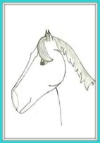 Awesome Horse Drawings