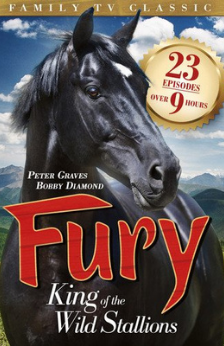 fury movie photo of horse