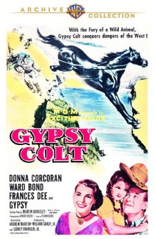 A picture of the movie Gypsy Colt.