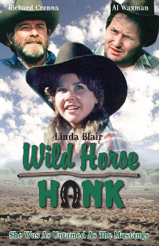 A picture of the movie Wild Horse Hank.