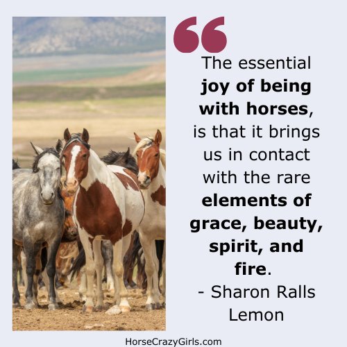 A picture of a herd of horses and quote "The essential joy of being with horses, is that it brings us in contact with the rare elements of grace, beauty, spirit, and fire." by Sharon Ralls Lemon