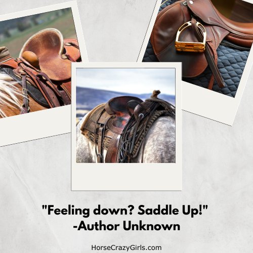 Three pictures of horses wearing different saddles with the quote "Feeling down? Saddle Up!" - Author Unknown