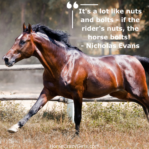 A picture of a bay horse galloping with the quote "It's a lot like nuts and bolts-if the rider's nuts, the horse bolts!" - Nicholas Evans