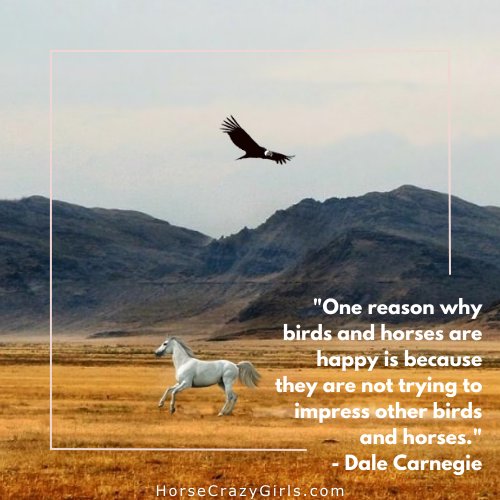 A picture of a horse galloping with a bird flying and the quote"One reason why birds and horses are happy is because they are not trying to impress other birds and horses." The quote is by Dale Carnegie.