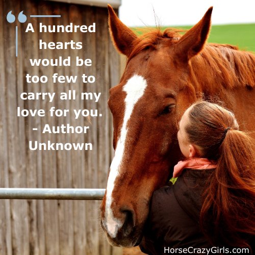 A girl kissing a horse's face with the quote "A hundred hearts would be too few to carry all my love for you" - Author Unknown