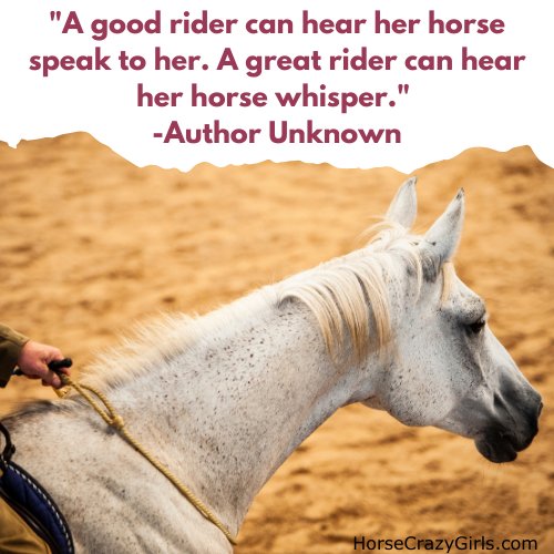 A rider and a white horse with the quote "A good rider can hear her horse speak to her. A great rider can hear her horse whisper."