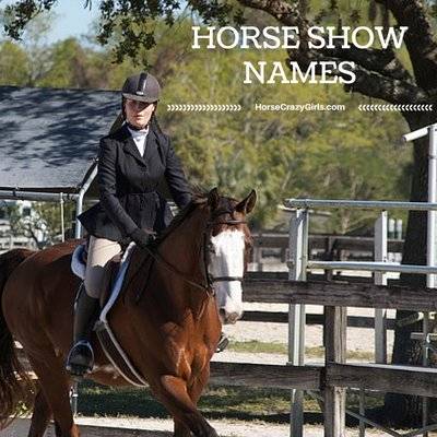 Horse Show Names - howt get through the maze in horse valley on roblox