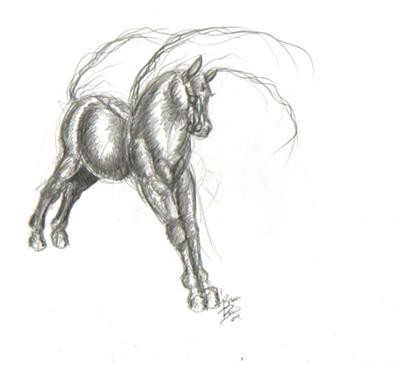 A pencil drawing of a horse standing slightly stretched out. The horse's mane and tail are flying upwards in the wind.