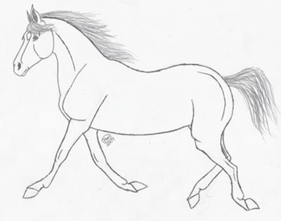 A Trotting Horse