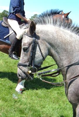 My pony drinking coke 