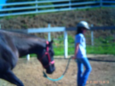 Me and Buckle - in the summer this is his color and in the winter he is bay. He does English and western and bareback. Oh, the date on the picture is wrong and sorry its blurry... I love you Buckle!