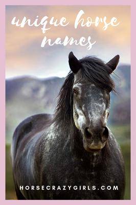 Cool Girl Names For Horses In Lakota